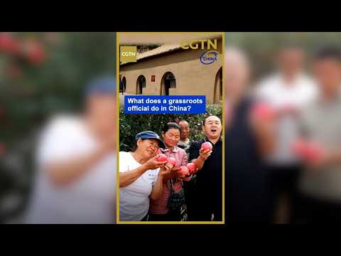 What does a grassroots official do in China