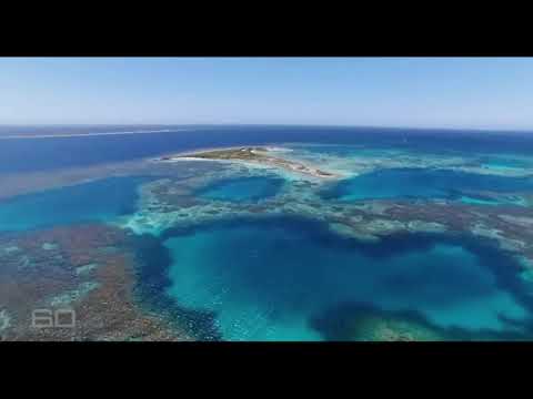 Batavia's Graveyard  -  Beacon Island  -  60 Minutes clip