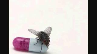 Red Hot Chili Peppers - Meet Me At The Corner