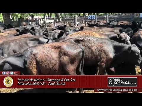 20-01-21 - Remate de Nestor I. Goenaga y Cía. S.A. - Azul, Bs.As.