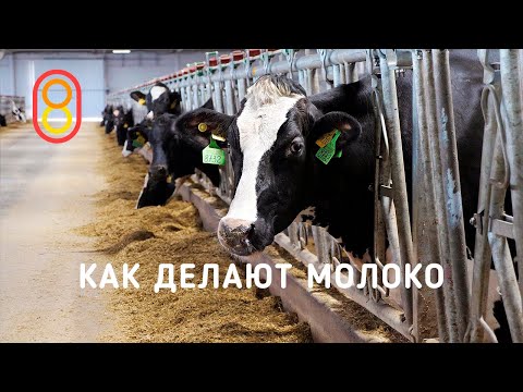 , title : 'Как делают МОЛОКО — обзор фермы!'