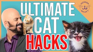 10 Things that Will Change Your Life (& The Life of Your Cat)!