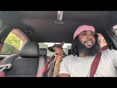 DOGCAST in the Field 🐕 | Knee Injury Update & Motivation