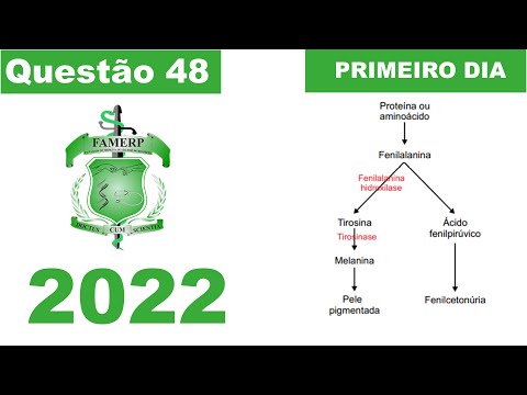 (Famerp 2022) O esquema ilustra de forma resumida o efeito de um gene