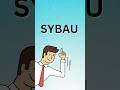 What Does SYBAU Mean