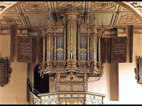 Sweelinck recital - 1610 organ - meantone tuning - Stellichte Kirche - Cor van Wageningen
