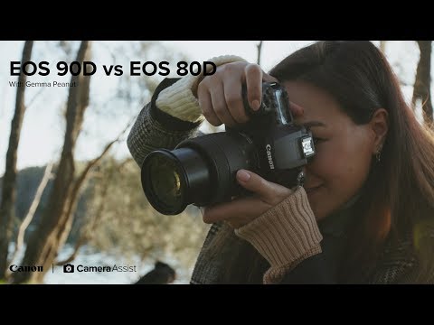 Canon EOS 90D vs EOS 80D Comparison Review