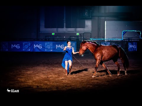 Liberty Performance with Previously Wild Mustang — Michigan Horse Expo