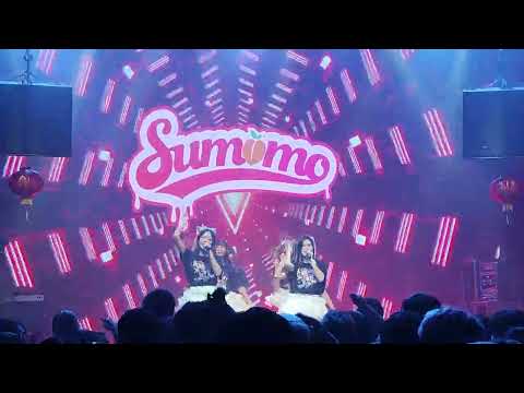 Sumomo : KISS Shite mo iiyo! @ Aidoru Matsuri # 5 - Mr.Fox Live House【4K 60FPS】
