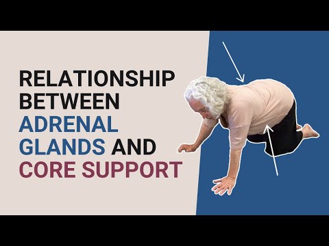 Relationship between Adrenal Glands and Core Support