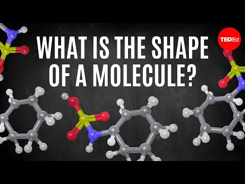What is the shape of a molecule? - George Zaidan and Charles Morton
