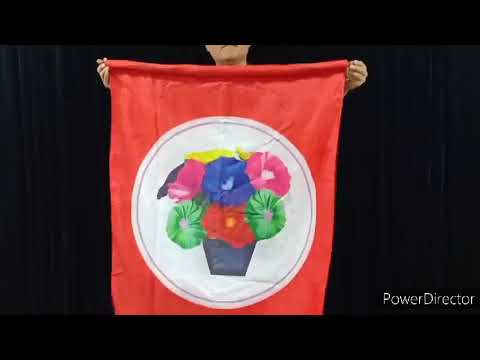 Saturn Magic - Flower Pot V2 to Blendo (Flower Pot) by JL Magic - Trick