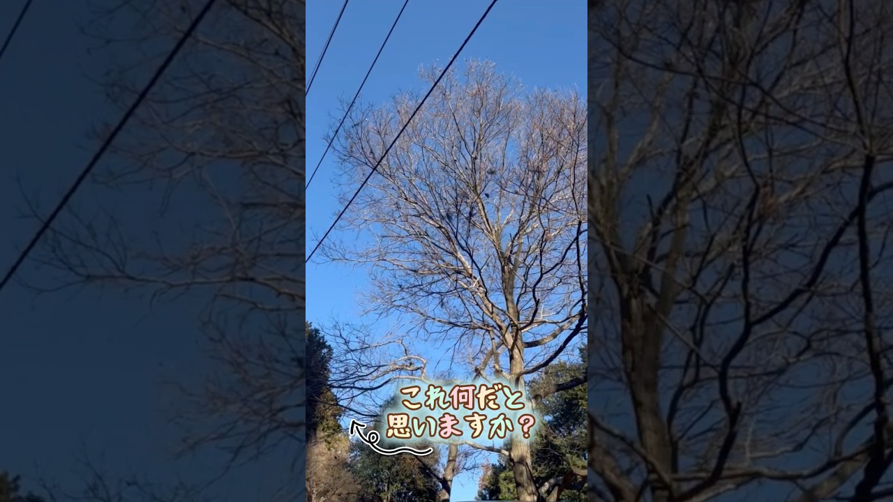 実はエコじゃないんです