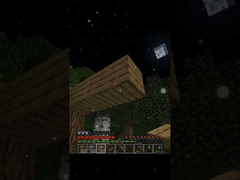 Unleashing The Scary Minecraft Entity