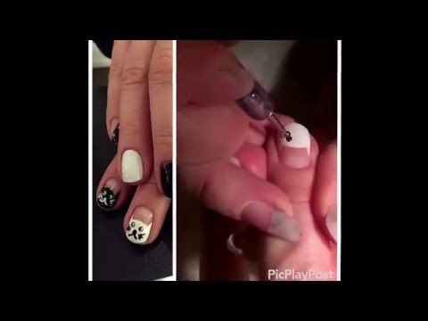 Catnails