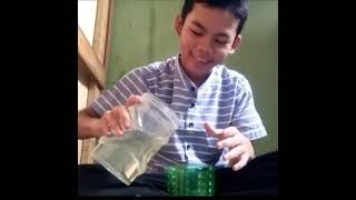 Download lagu Cara mengatasi ikan cupang yang tidak mau ngedok mp3