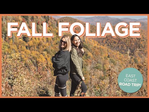 東海岸秋葉公路之旅--北卡羅來納州、華盛頓特區、弗吉尼亞州、西弗吉尼亞州 (East Coast Fall Foliage Road Trip - North Carolina, DC, Virginia, West Virginia)