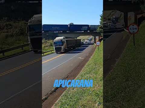 Apucarana Paraná