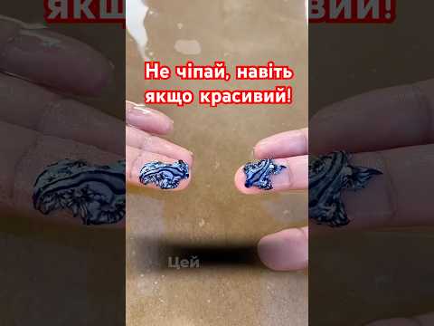 Блакитний дракон: найнебезпечніша крихітка океану 🐉🌊