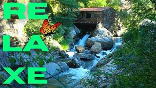 Relaxe ouvindo o barulho do rio passando por baixo de uma casa./SOM DE GUA ACALMA.