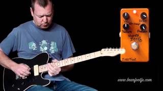 Video thumbnail for Bearfoot FX: Honey Beest OD by Brett Kingman