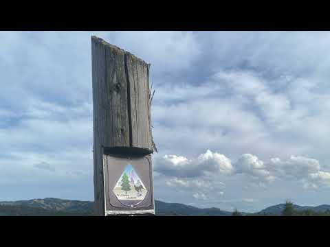 Tinovul mic Saru Dornei-Vatra Dornei