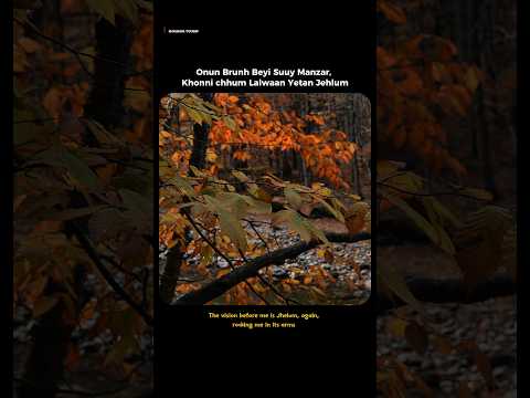 Golabaw #koshur #kashmiri #soulful #nomusic