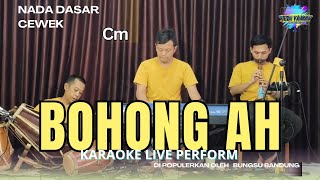 Download lagu Karaoke Bohong ach - bungsu bandung nada cewek Cm versi tanjidor mp3