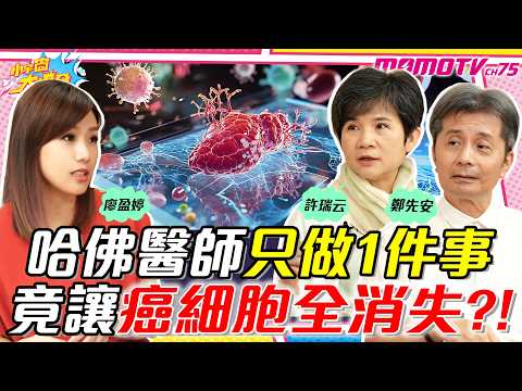 哈佛醫師只做1件事 竟讓癌細胞全消失?! ft. 許瑞云 鄭先安 醫師【 小宇宙大爆發 】