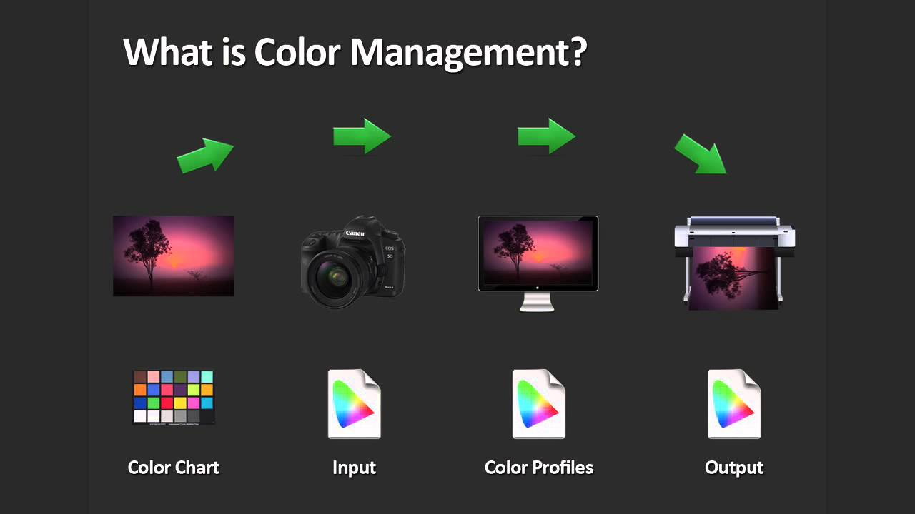 Color Management For Photographers