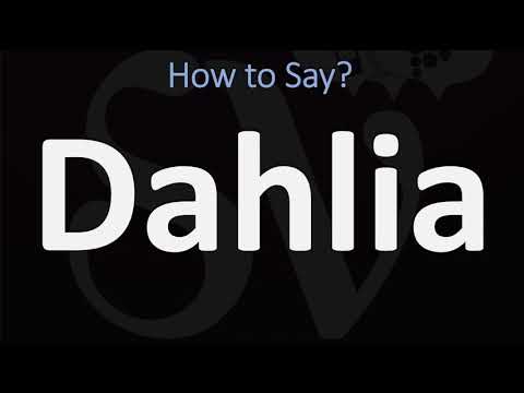 How to Pronounce Dahlia? (CORRECTLY)