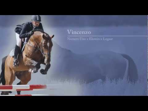 Vincenzo - NUMERO UNO x EKSTEIN x LEGAAT x GOUDSMID - De Wiemselbach - DE 2012