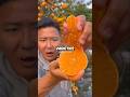 Why These Oranges Are FAKE 🍊 (don’t ask me what the white stuff on it is)