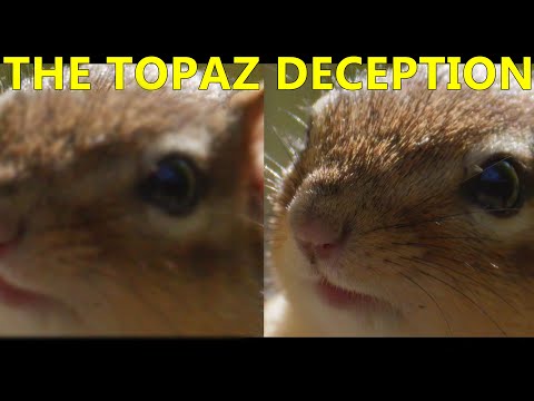The Topaz Deception