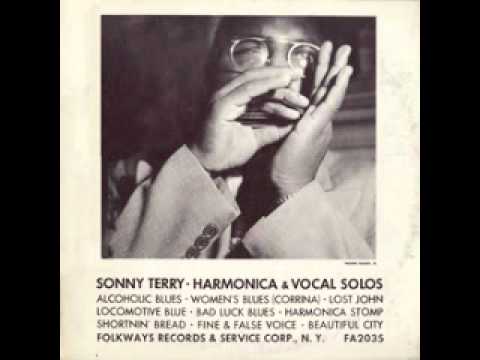 Alcoholic Blues - Sonny Terry