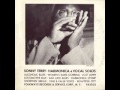 Alcoholic Blues - Sonny Terry