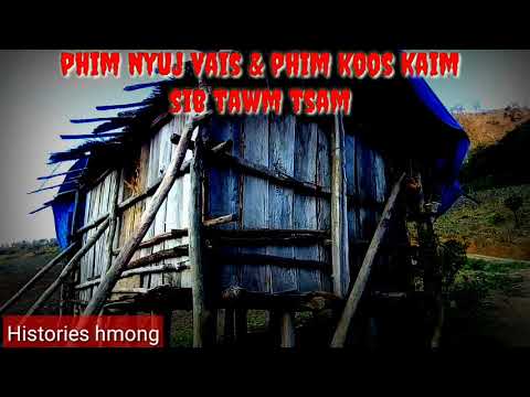 Phim nyuj vais & phim koos kaim sib tawm tsam 21/02/2019