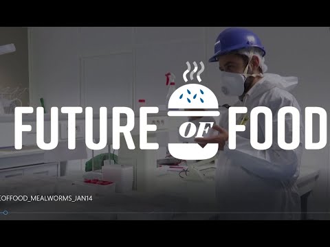 EU approves mealworms for dinner