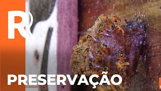 Miniatura do vídeo