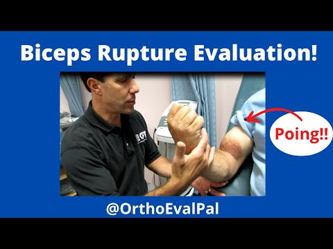 Shoulder Apprehension Test and Relocation Test