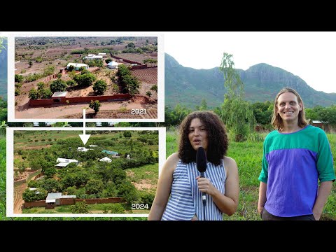 Plant a Forest with Amari & Chris