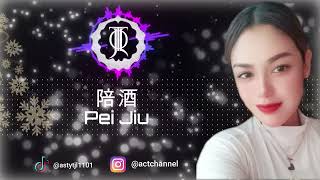 Download lagu Pei Jiu  - 陪酒 mp3