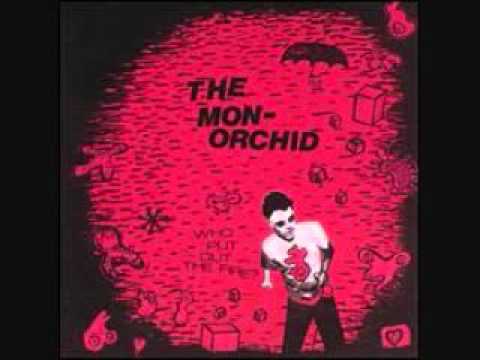 The monorchid-beard of bees