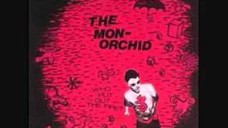 The monorchid-beard of bees