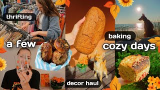 Thrifting, baking, hiking and enjoying cozy days 🍞🦊🍂 Fall decor haul 🎃