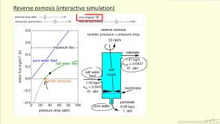 Reverse Osmosis (Interactive Simulation)