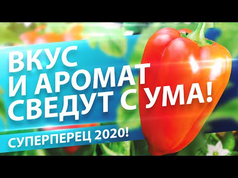 Перец сладкий Фельдмаршал 0.1г (Семена Алтая)