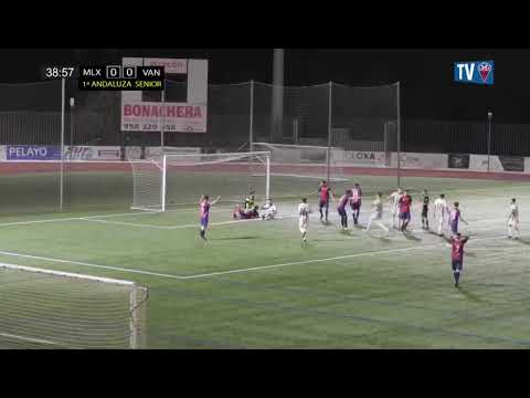 Resumen Medina Lauxa - Vandalia