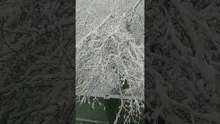 Download lagu sura ikhlas@#@@@## mp3 Download lagu sura ikhlas@#@@@## mp3