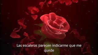 Olivia Newton-John - Rosewater (DayBeat Remix 2023)